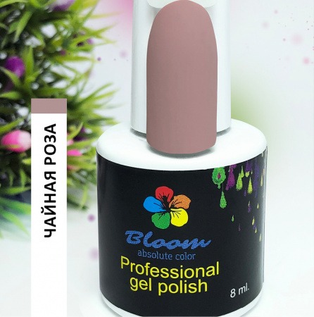 Bloom Чайная роза